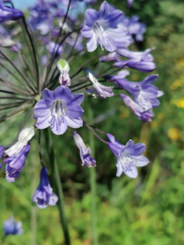 Mixed-use regeneration project, Folkestone, Kent, Mark Lane Designs