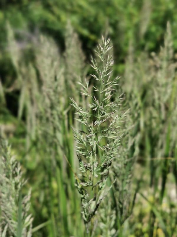 Mixed-use regeneration project, Folkestone, Kent, Mark Lane Designs