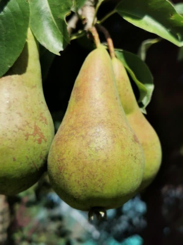 Mixed-use regeneration project, Folkestone, Kent, Mark Lane Designs