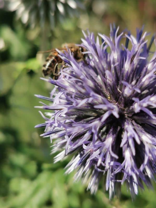 Mixed-use regeneration project, Folkestone, Kent, Mark Lane Designs