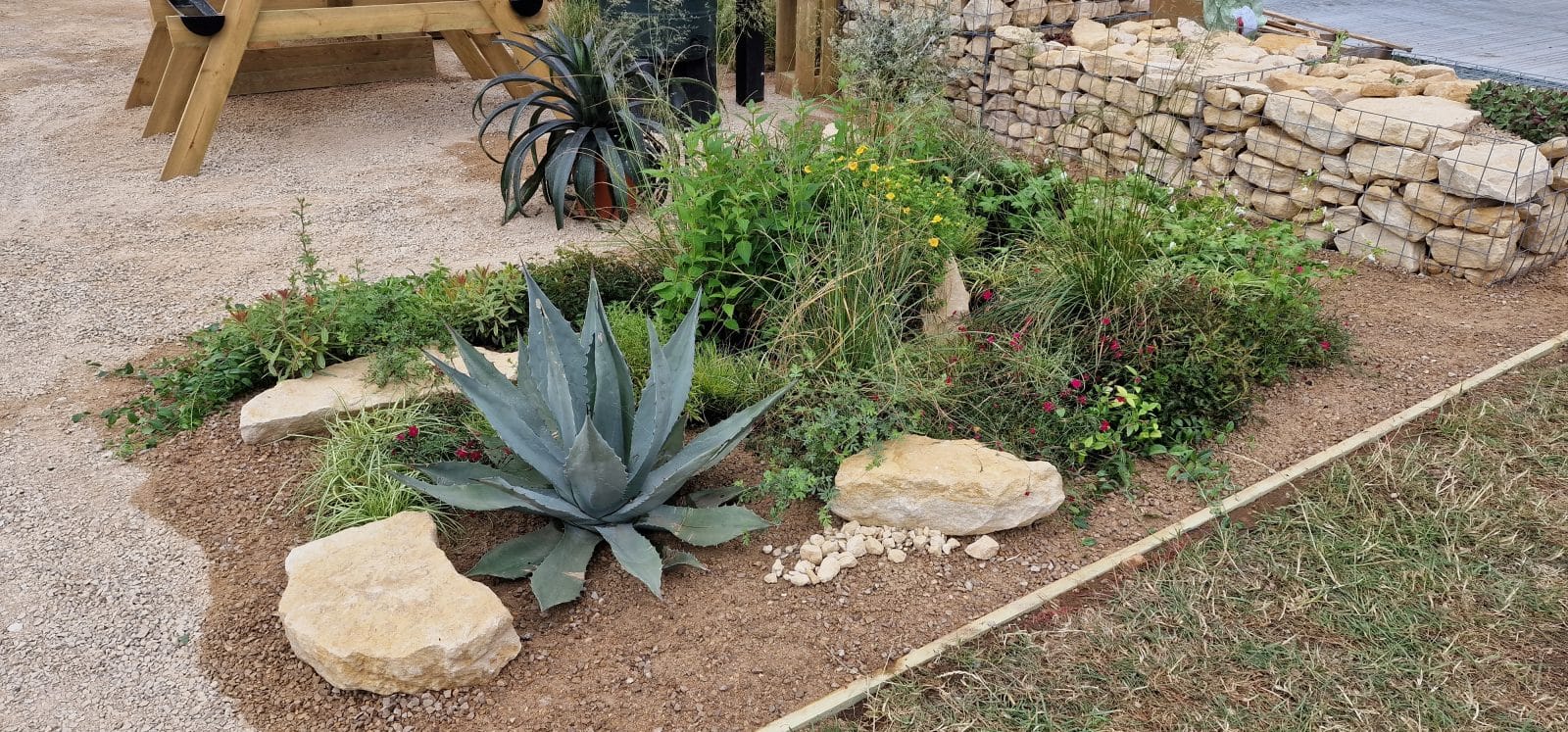 RHS-BBC Morning Live Budget-friendly Feature Garden designed by Mark Lane from Mark Lane Designs Ltd for RHS Hampton Court Palace Garden Festival 2023