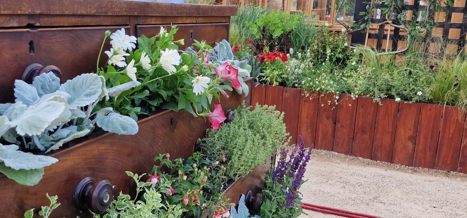 RHS-BBC Morning Live Budget-friendly Feature Garden designed by Mark Lane from Mark Lane Designs Ltd for RHS Hampton Court Palace Garden Festival 2023