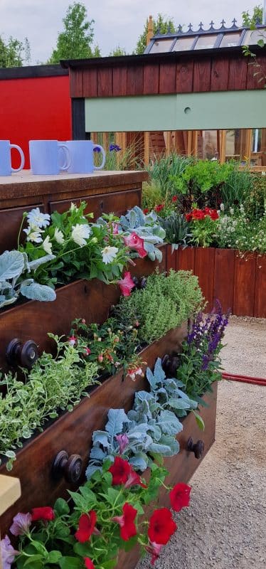 RHS-BBC Morning Live Budget-friendly Feature Garden designed by Mark Lane from Mark Lane Designs Ltd for RHS Hampton Court Palace Garden Festival 2023